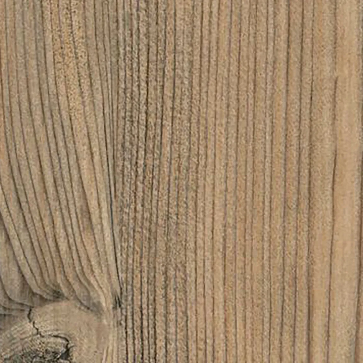 \\HI-AD01\Data\Hout Import Reuver\Webshop\THERMOPAL\R55008.jpeg