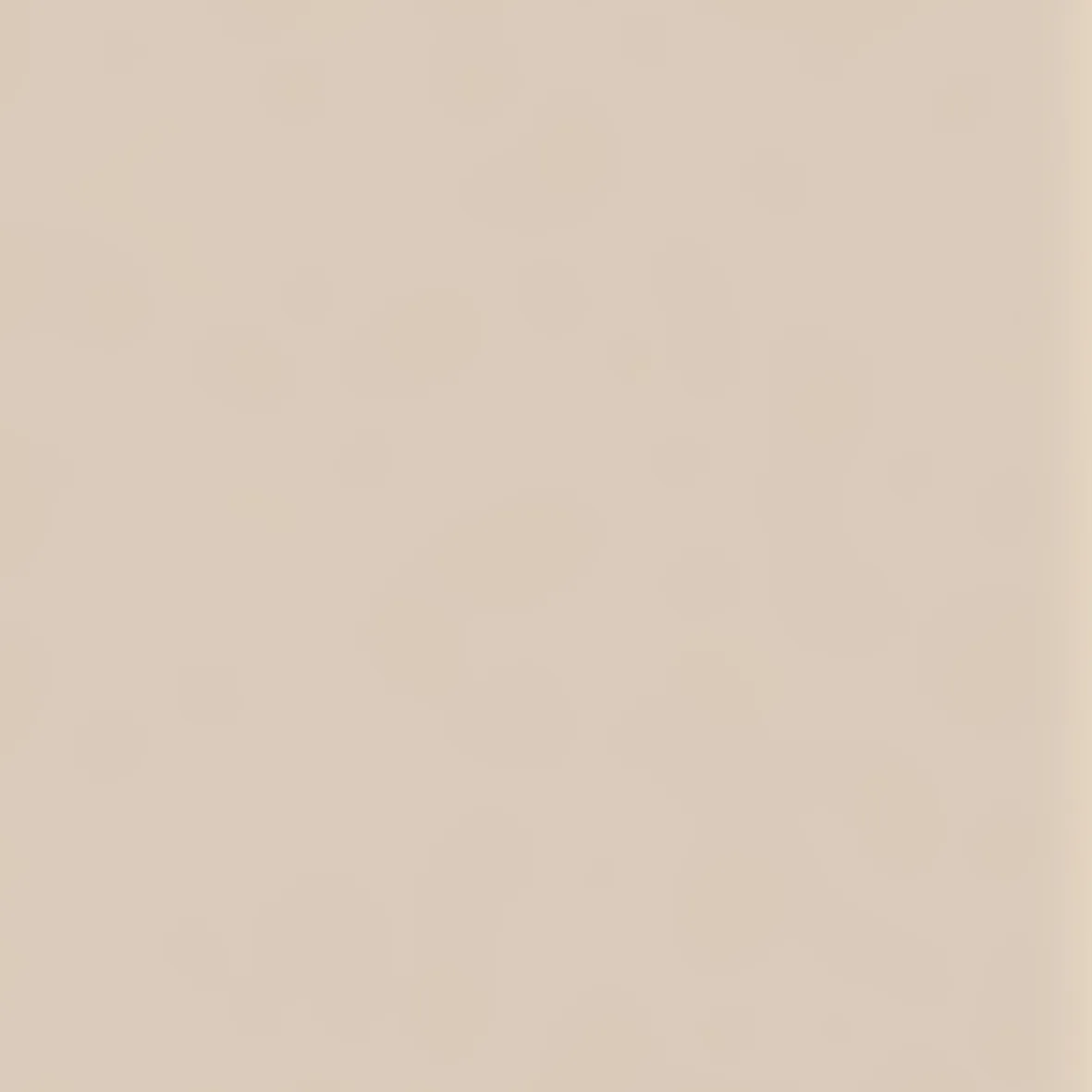 U16003SD - Decorspaan - 10mm