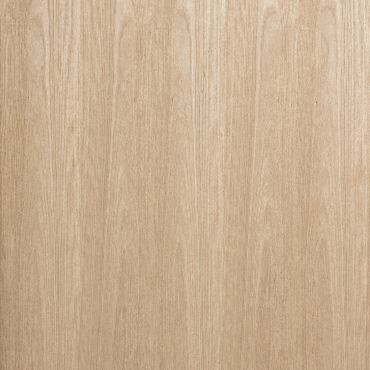 Gefineerd MDF - Oak 4 Allegro - 19mm - The Oak Collection - Hout Import ...