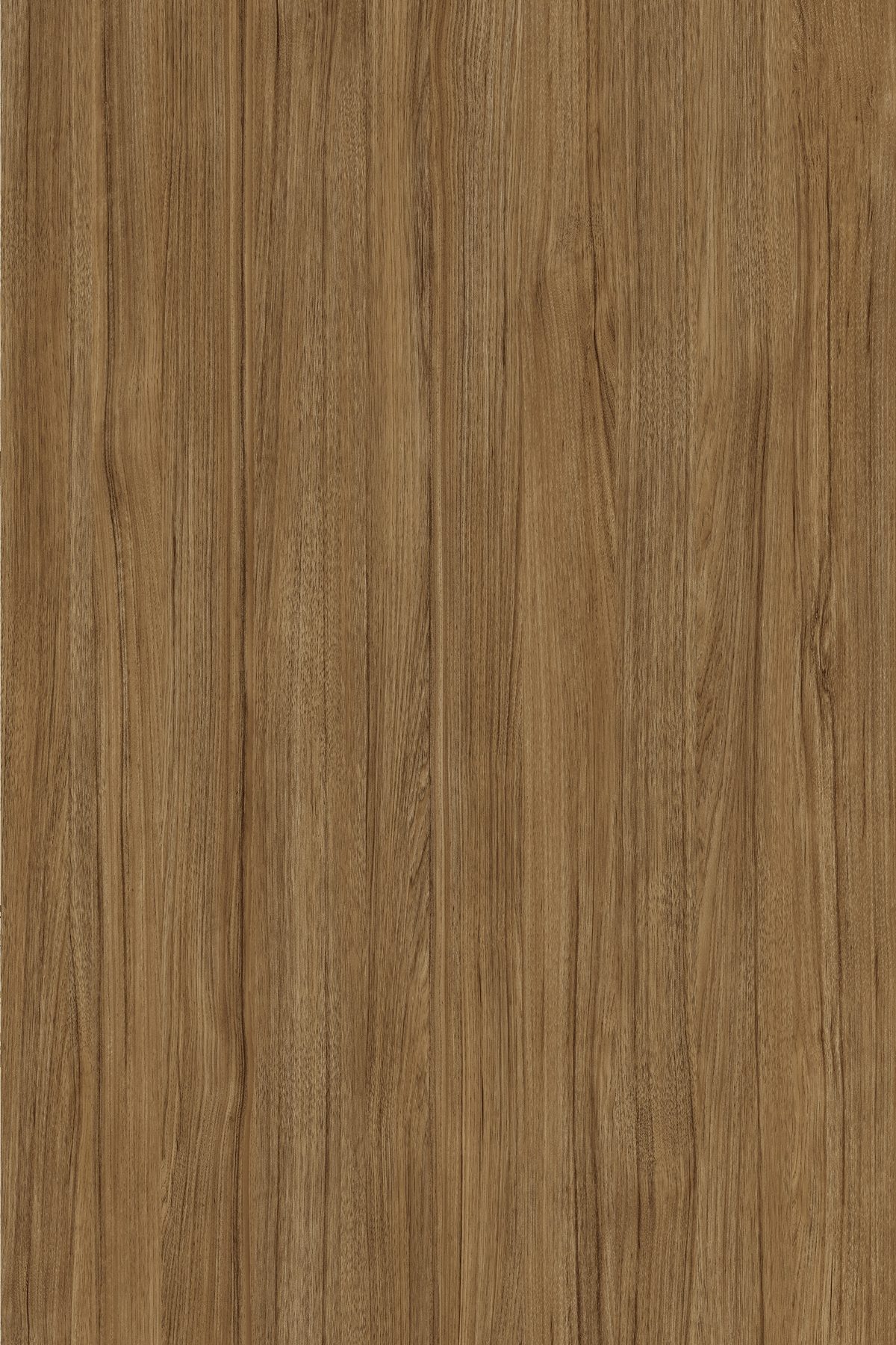 Emporio Skin Decorspaan - 18mm - EMPORIO SKIN Decorspaan - Hout Import ...