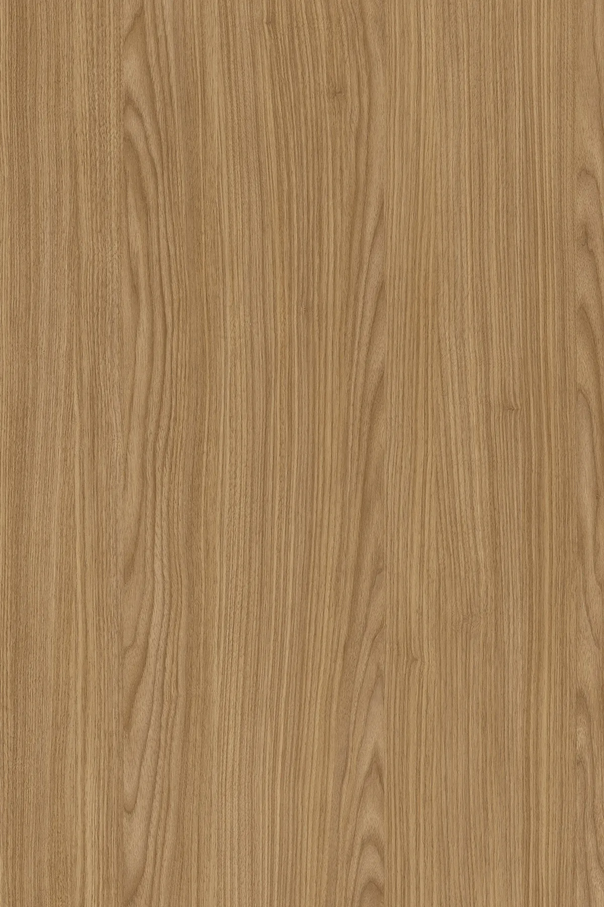 Emporio Skin - Decorspaan - 18mm