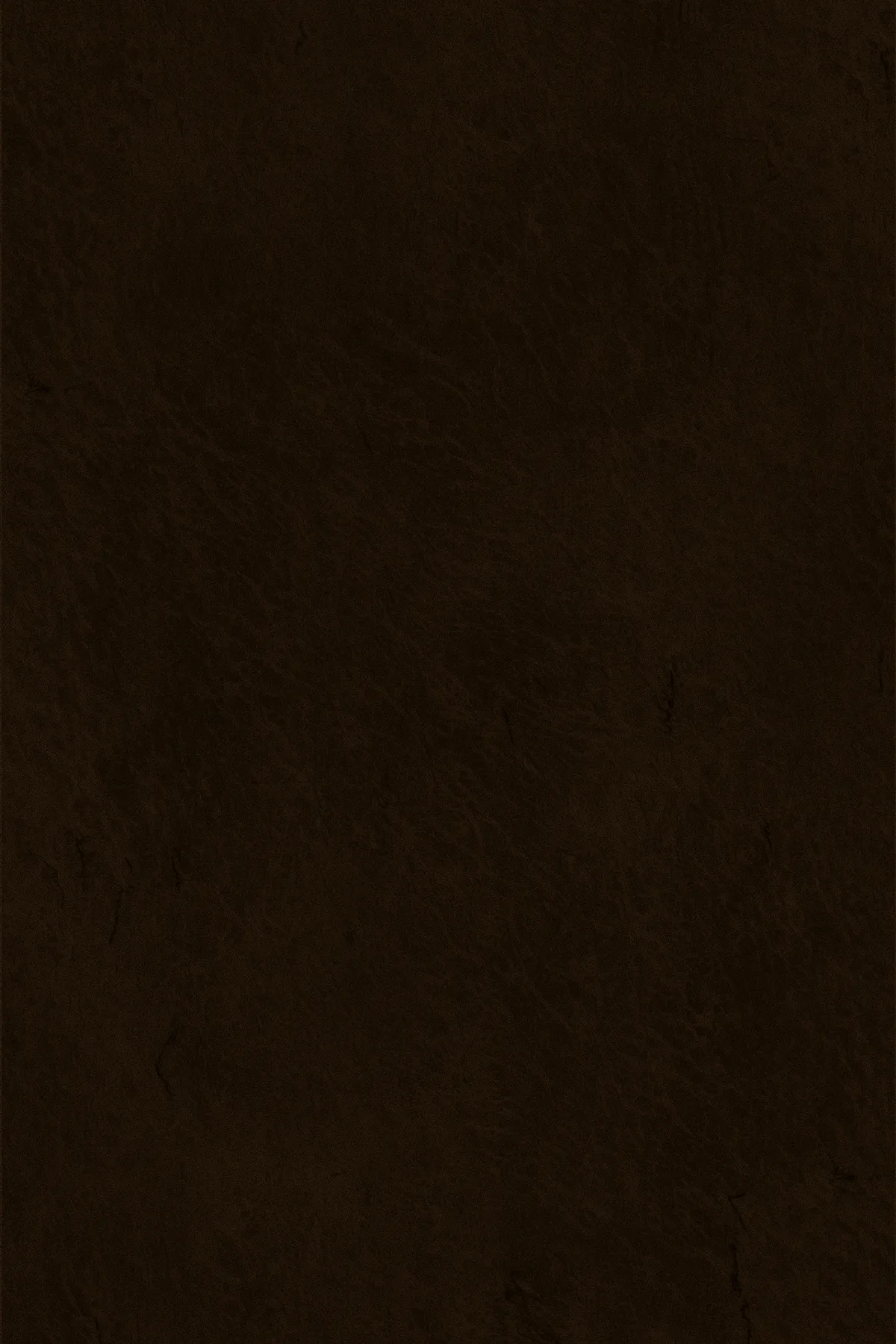 Emporio Skin Decorspaan - 18mm