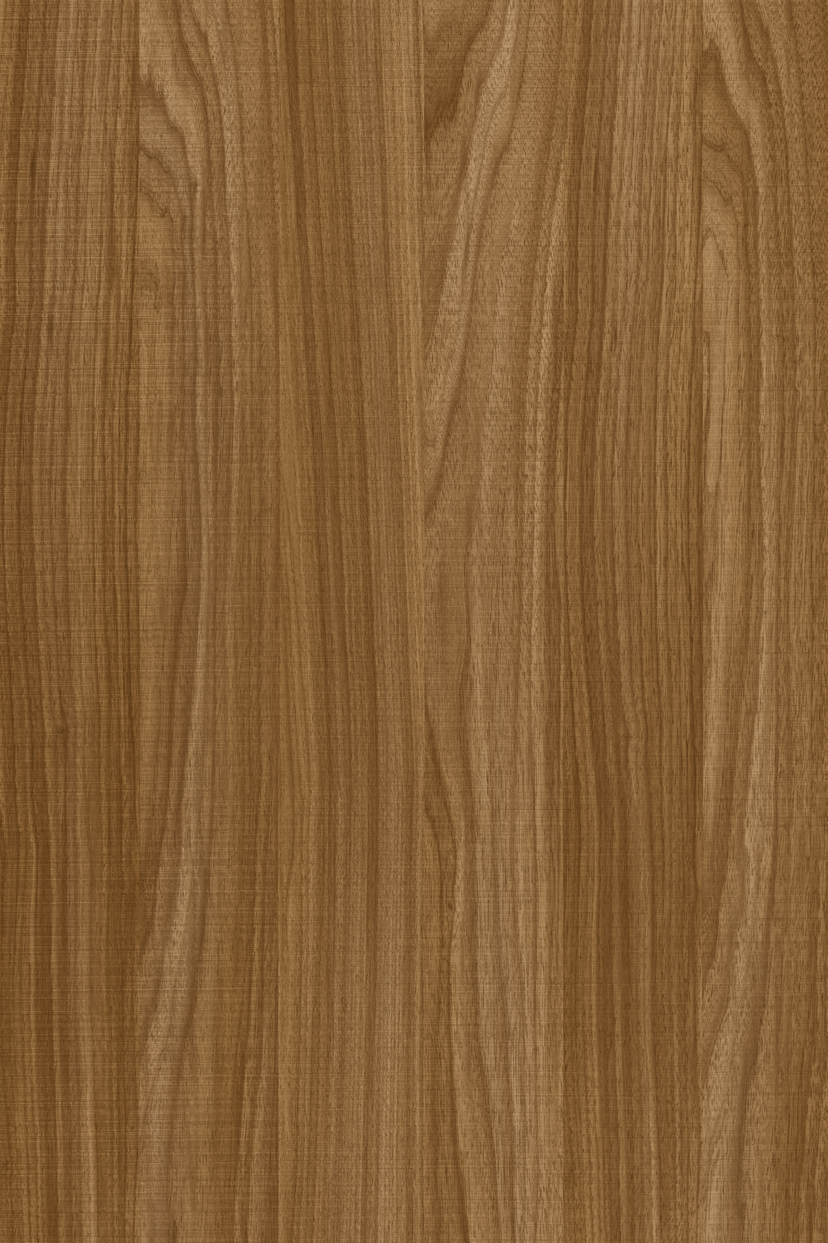 Emporio Skin Decorspaan - 18mm - EMPORIO SKIN Decorspaan - Hout Import ...