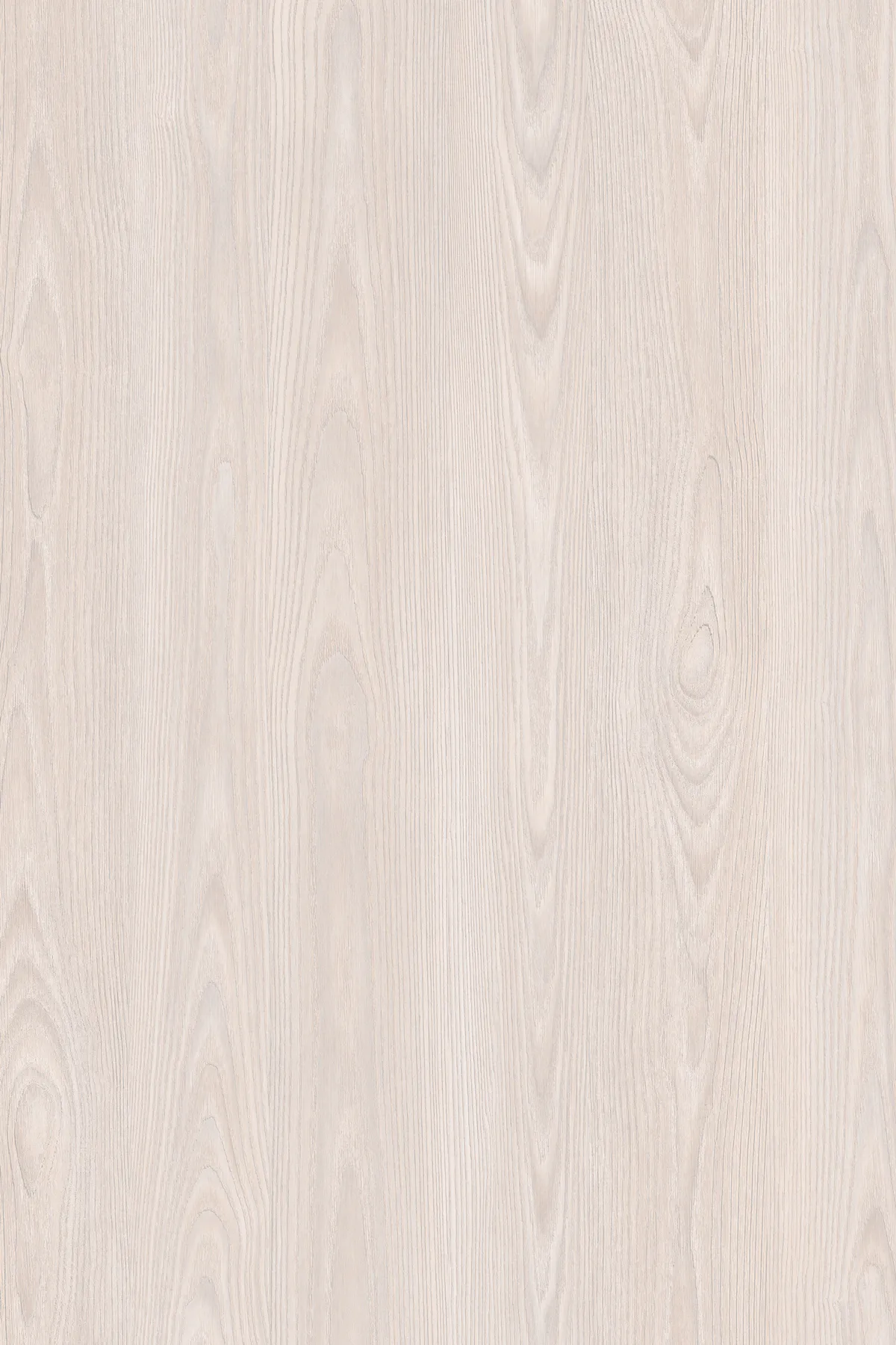 Emporio Skin Decorspaan - 18mm