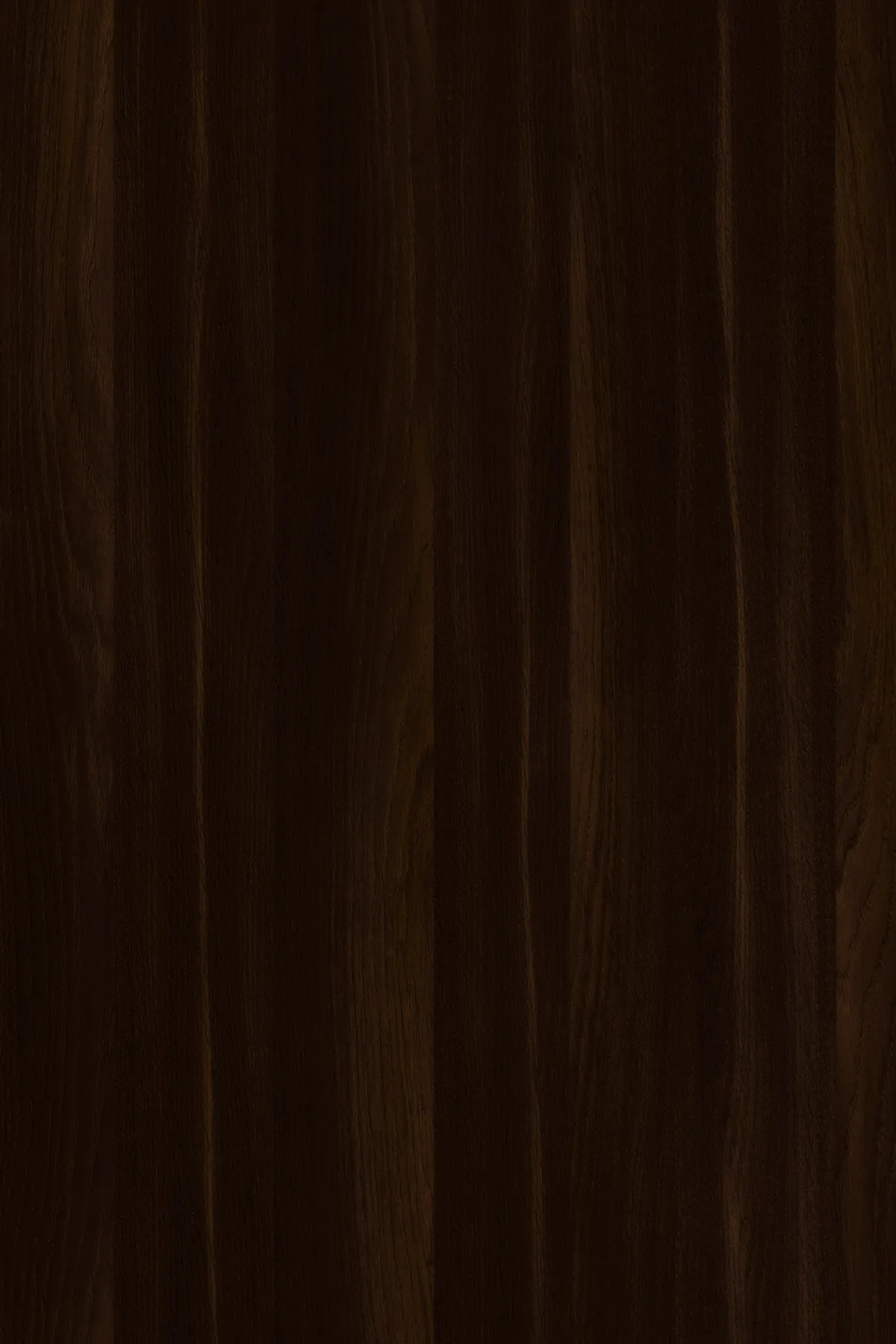 Emporio Skin Decorspaan - 18mm