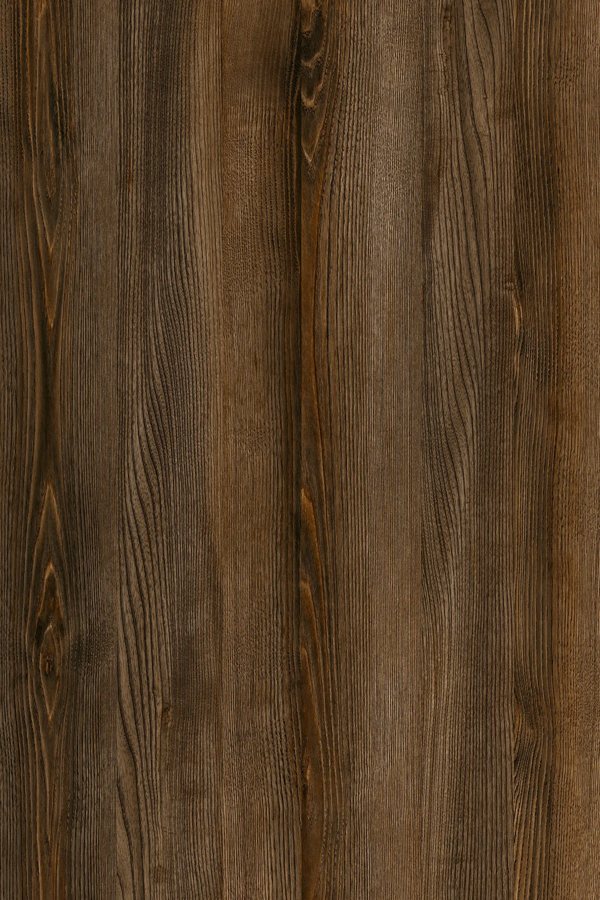 Emporio Skin Decorspaan - 18mm