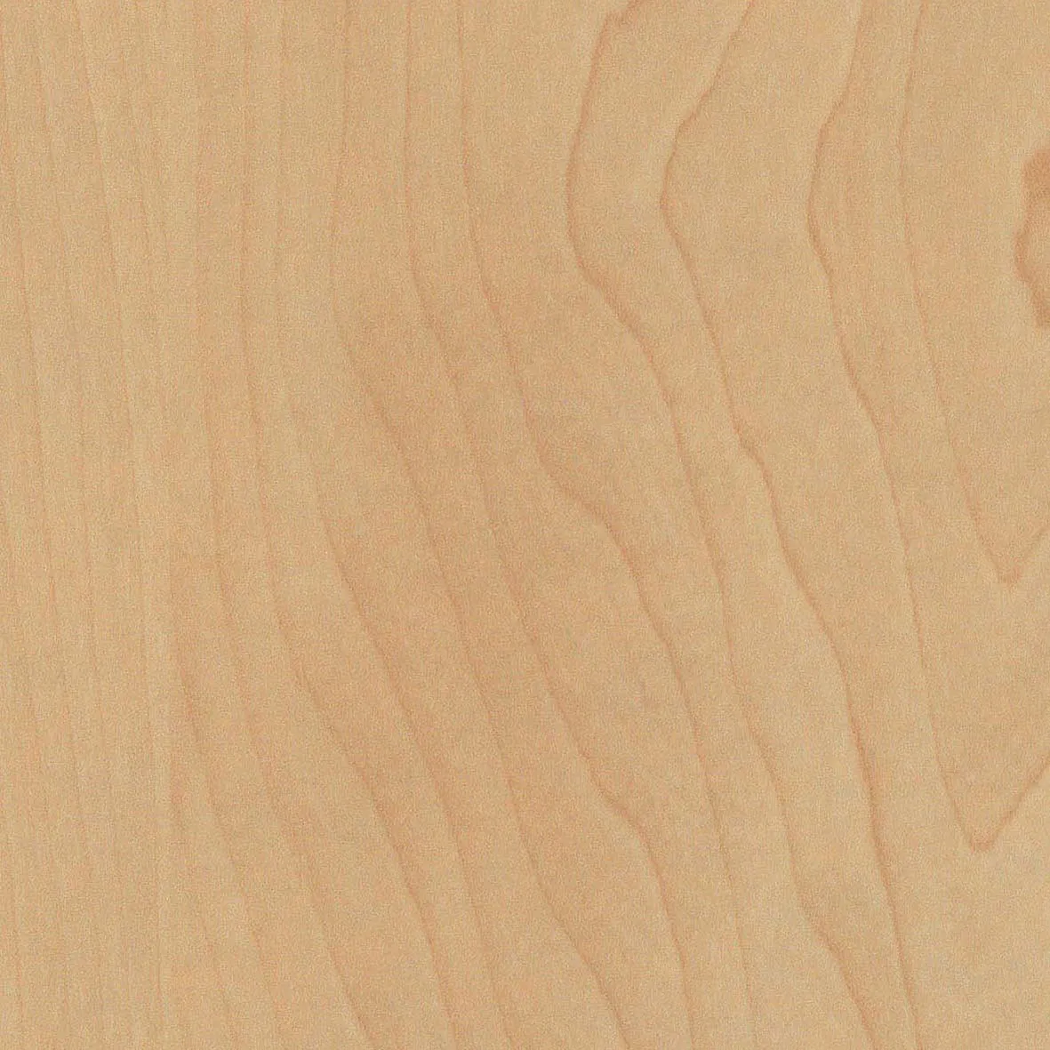 Duropal HPL R27024VV - Bergahorn