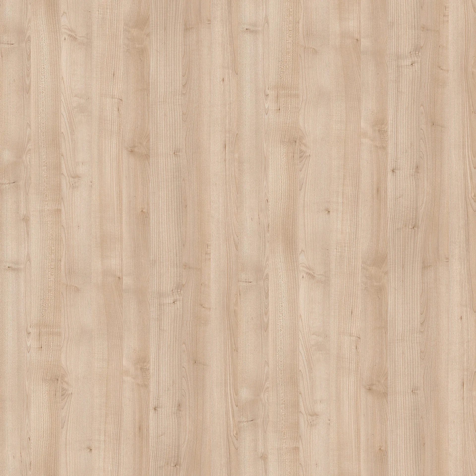 Duropal HPL R27044FL - Spitzahorn