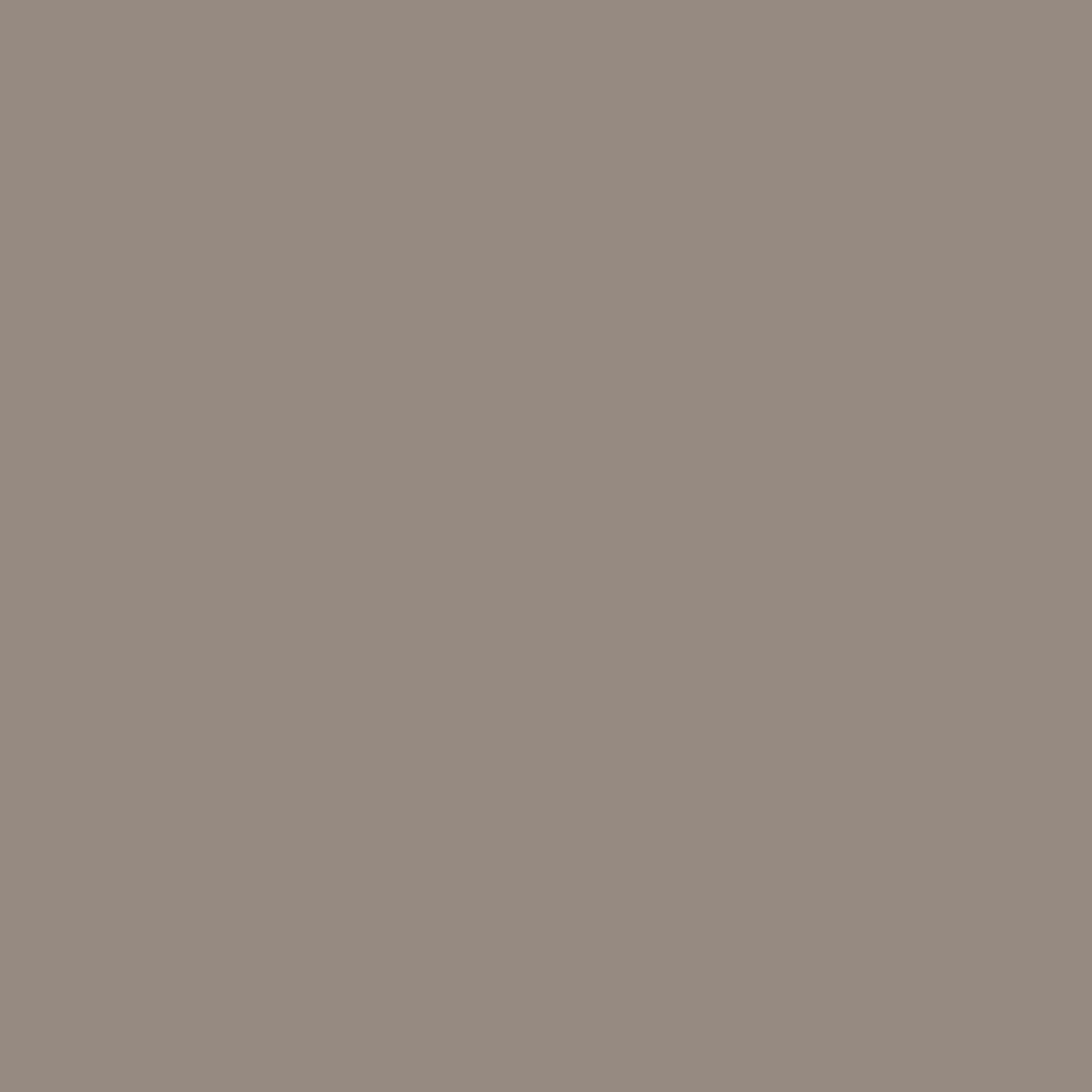 U16002SD - Decorspaan - 8mm