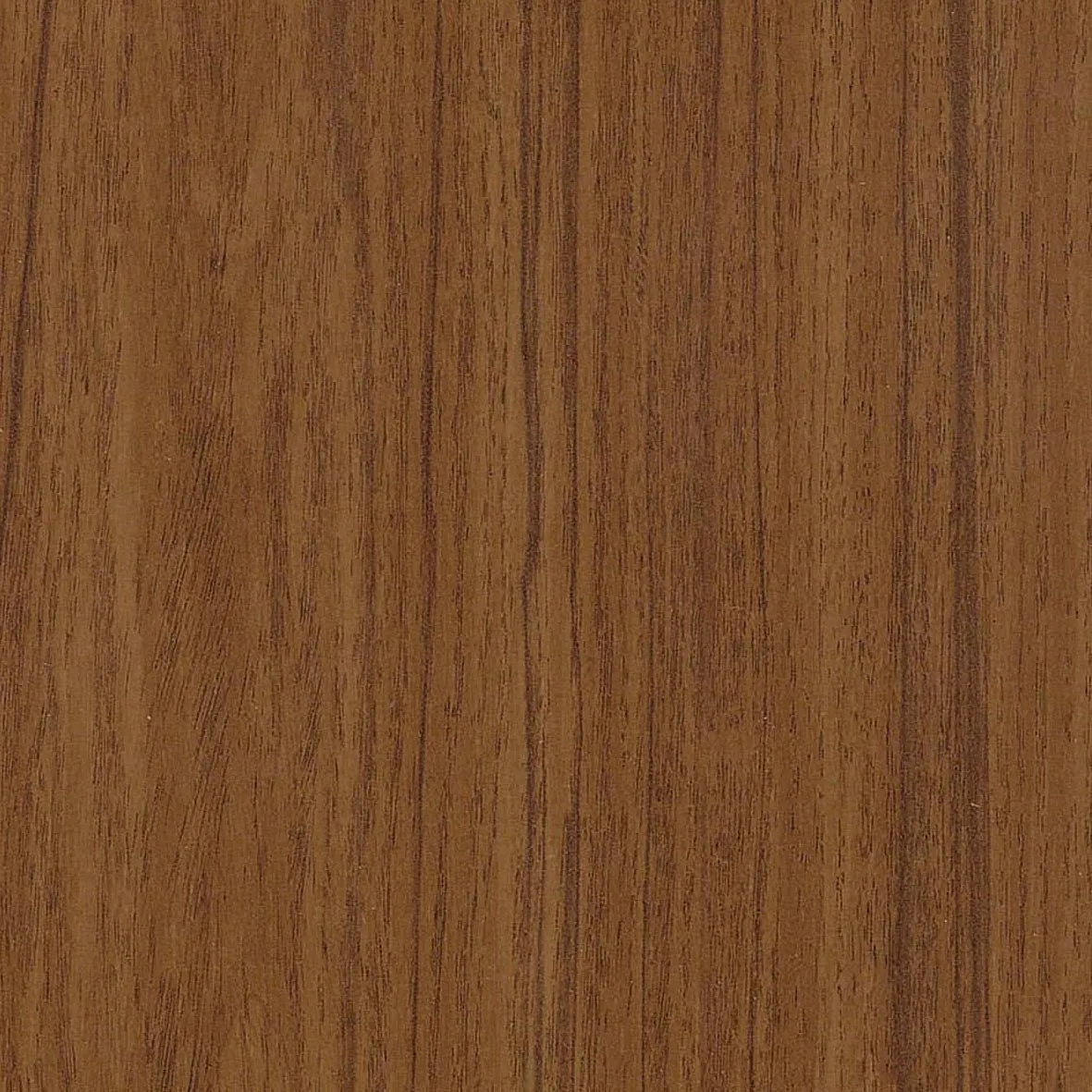 R30001NW - Noten standaard - 10mm