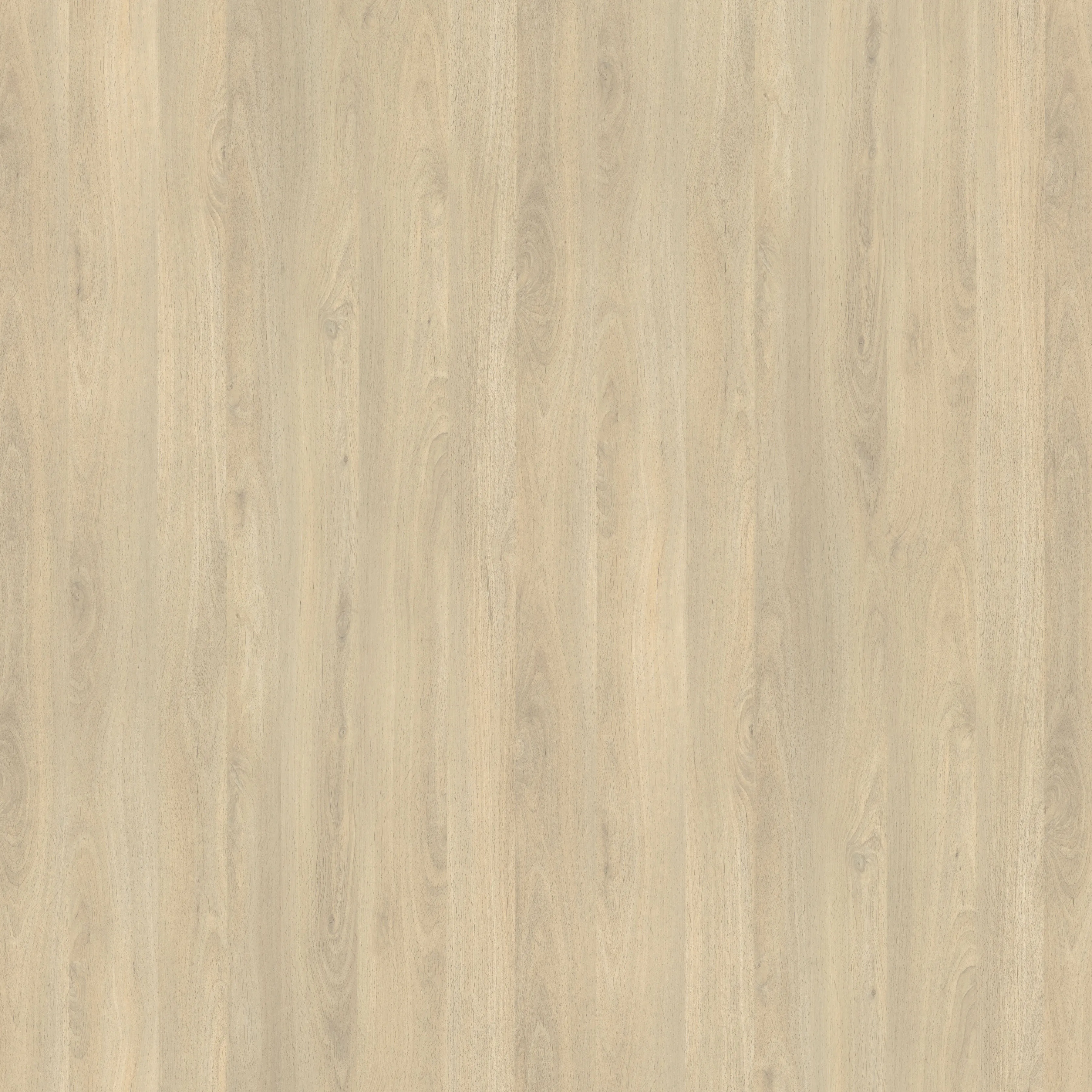 R24029FL - Decorspaan - 18mm