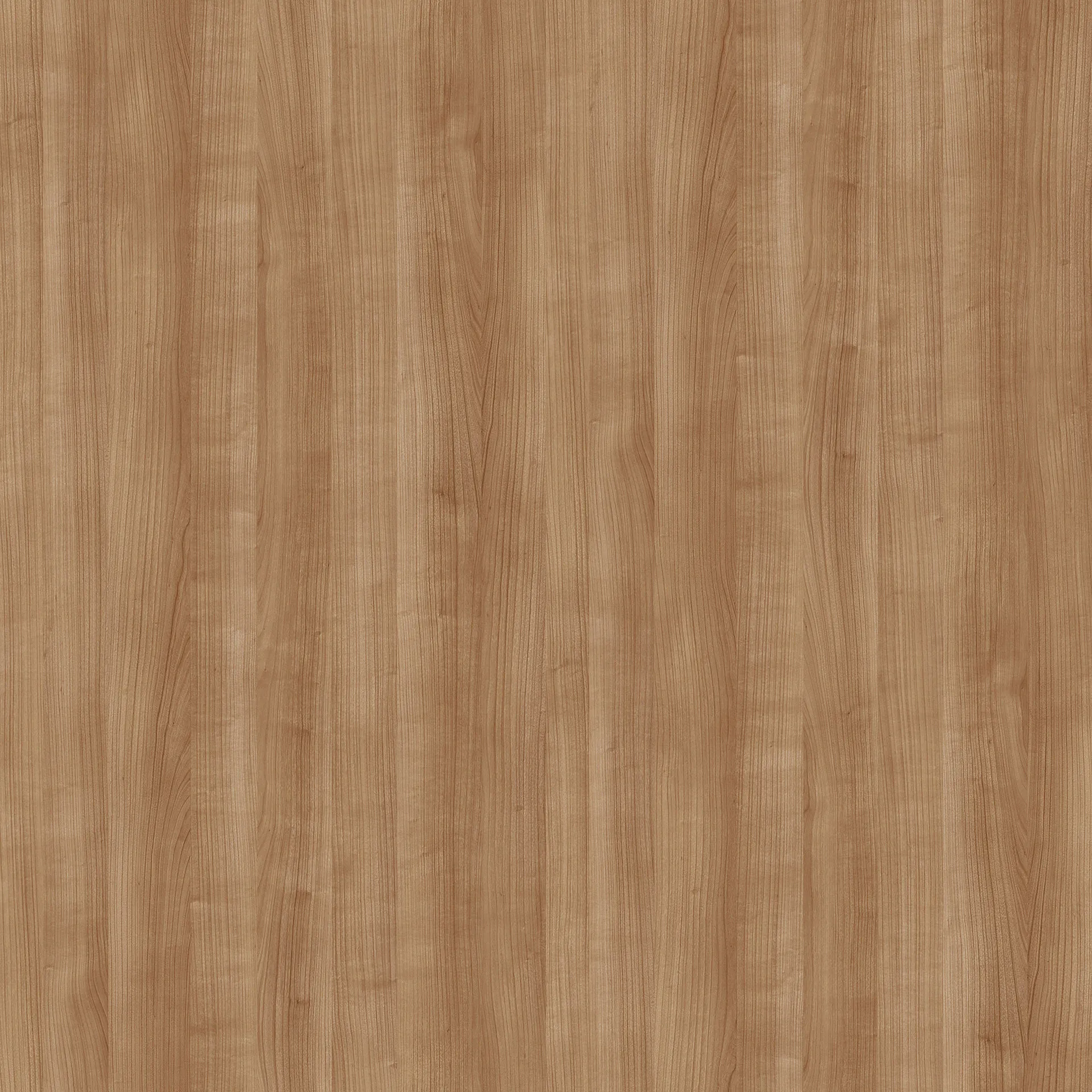 R42006FL - Decorspaan - 18mm