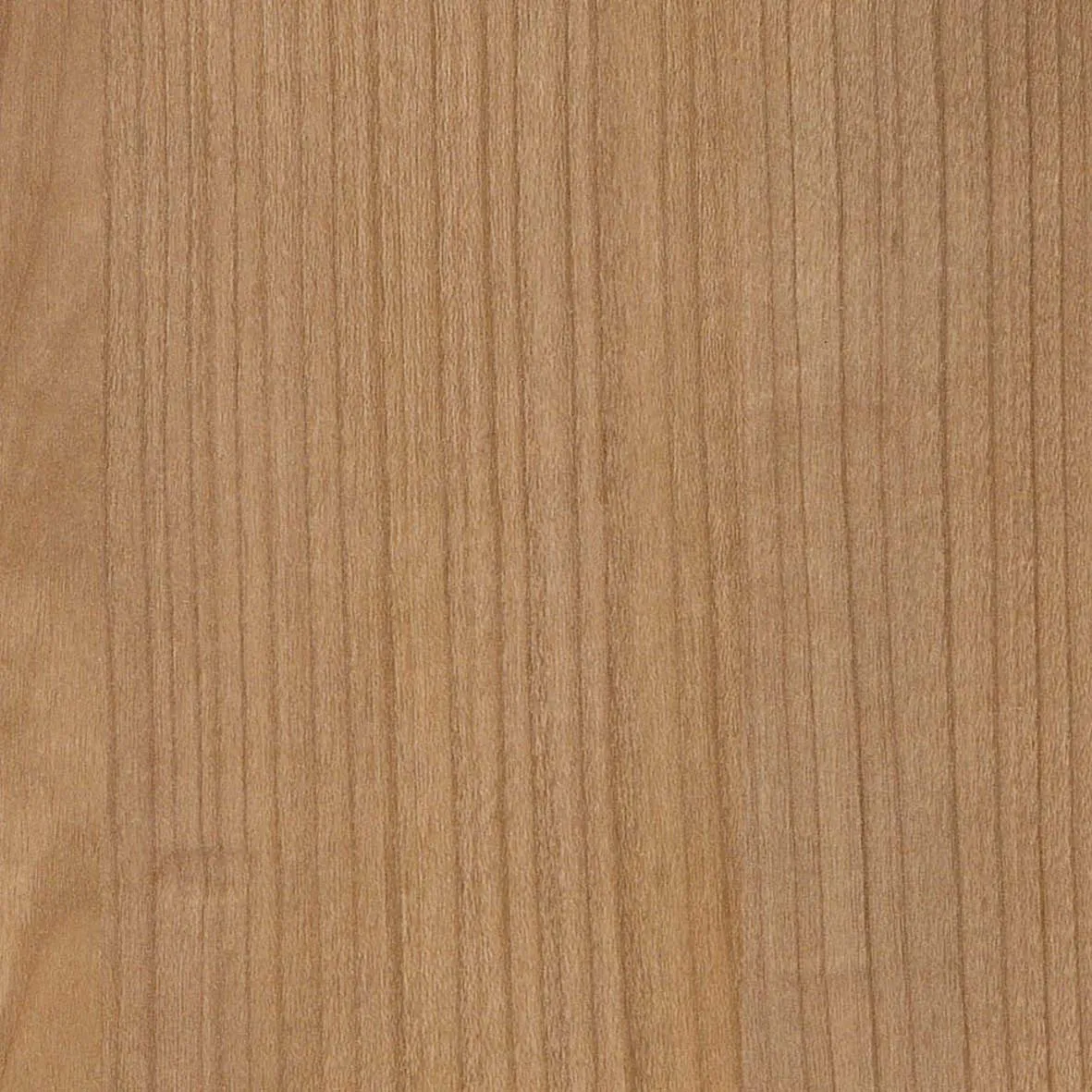 R42006FL - Decorspaan - 18mm