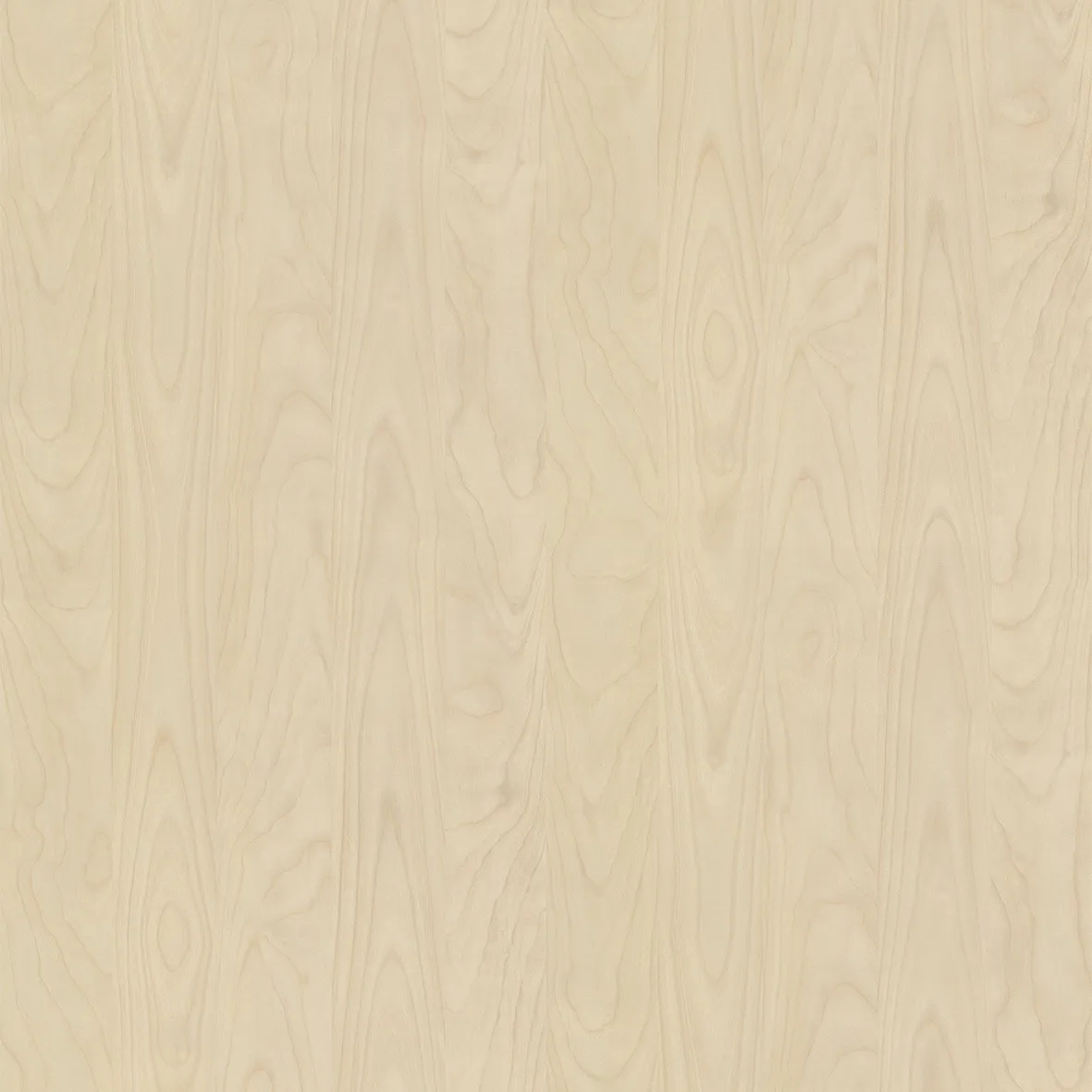 R55064FL - Decorspaan - 18mm