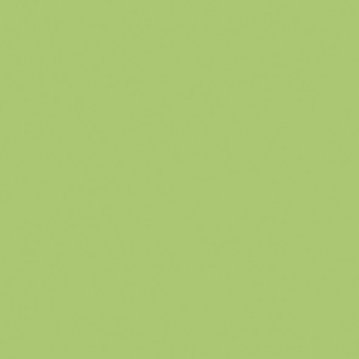 \\HI-AD01\Data\Hout Import Reuver\Webshop\Pfleiderer 2025-2028\U19508.jpg