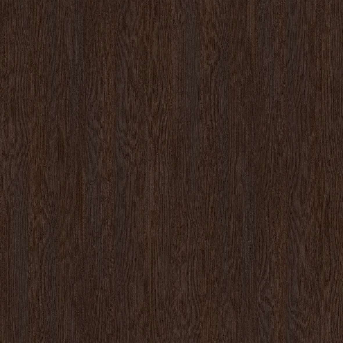 R20033VI - Decorspaan - 19,4mm