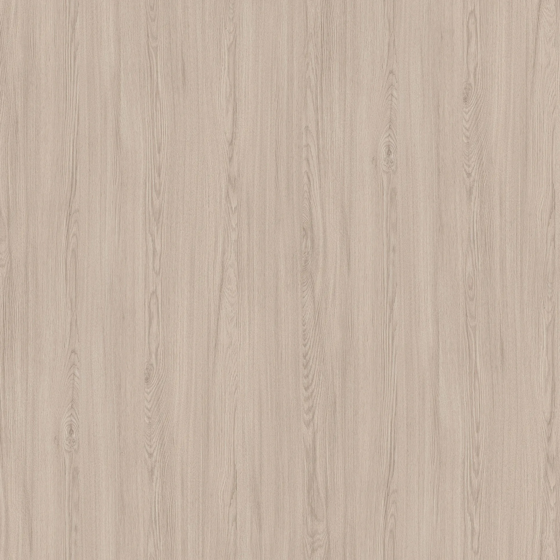 R20453VI - Decorspaan - 19,4mm