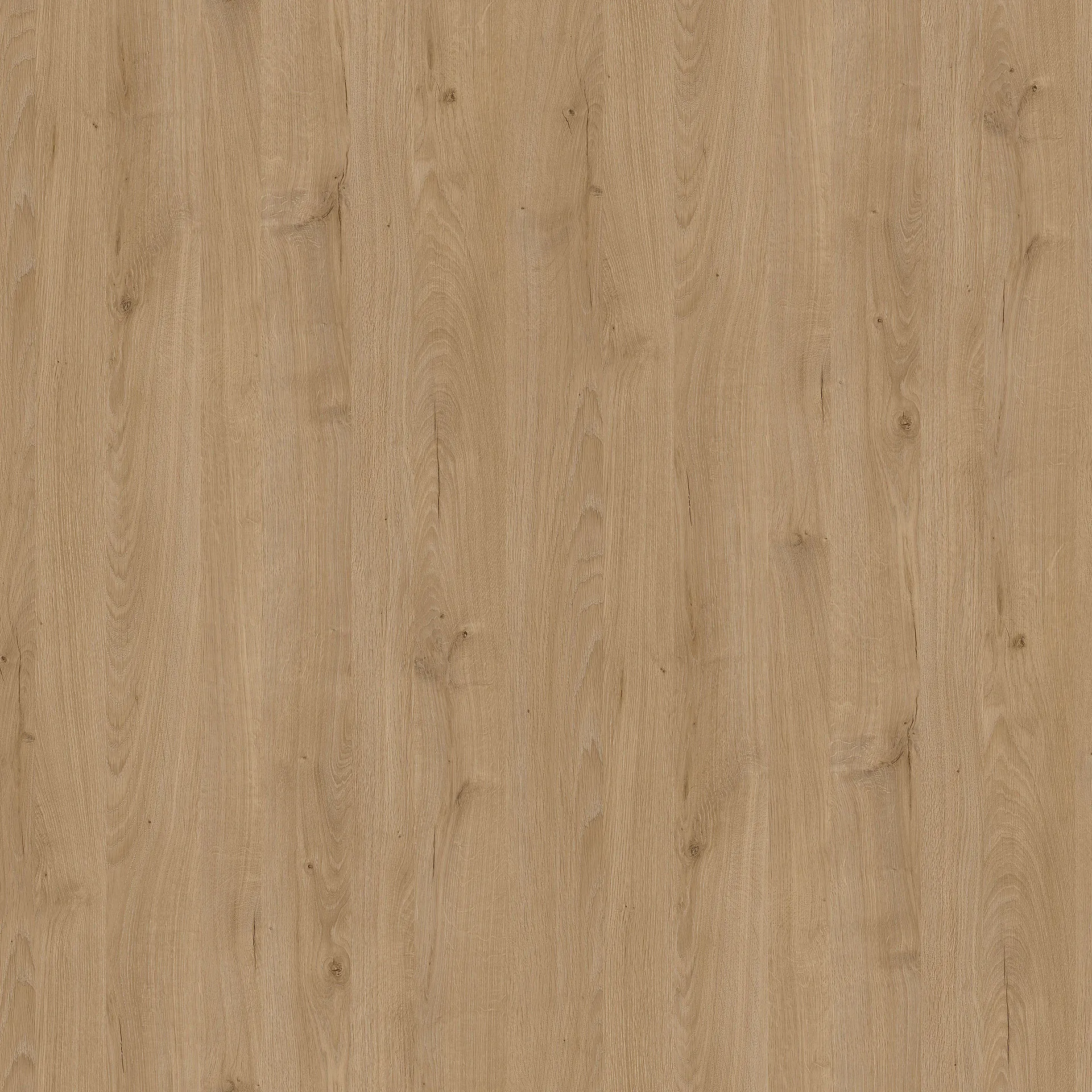 R20455VI - Decorspaan - 19,4mm