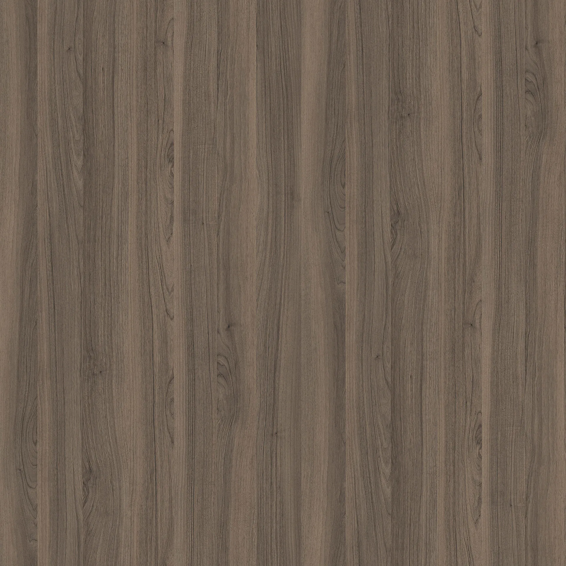 R30159VI - Decorspaan - 19,4mm