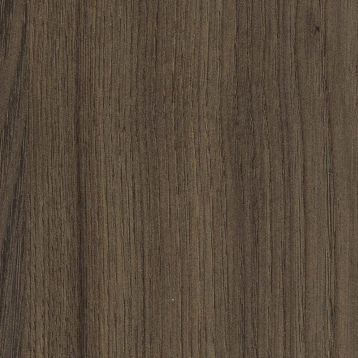 R38000VI - Decorspaan - 19,4mm