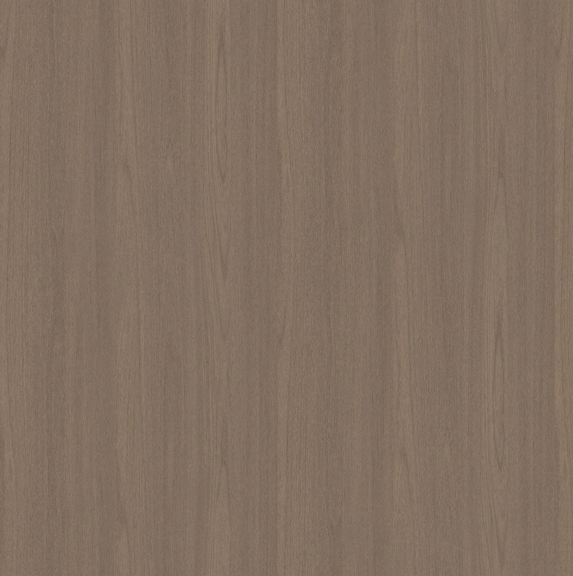 R50095NW - Decorspaan - 18mm