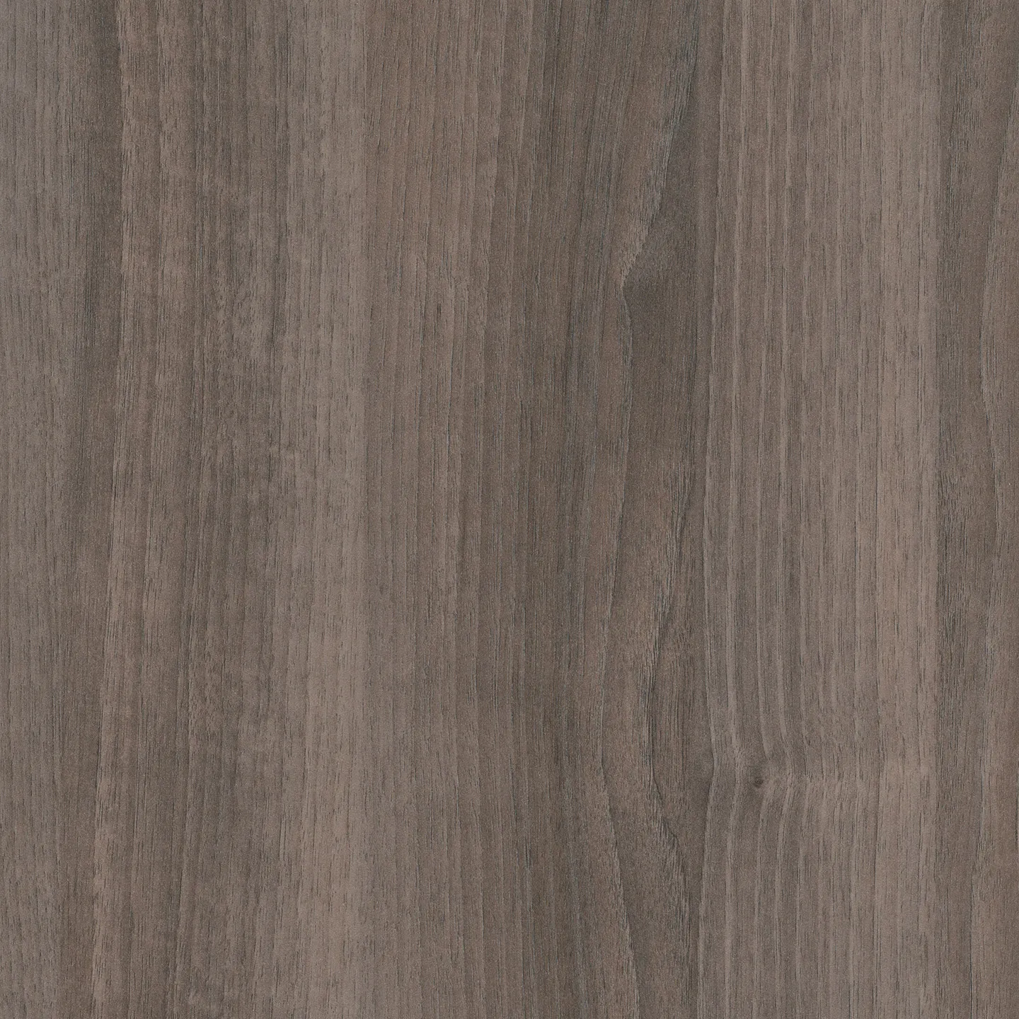 Resopal HPL 4260-60 - 0,8mm