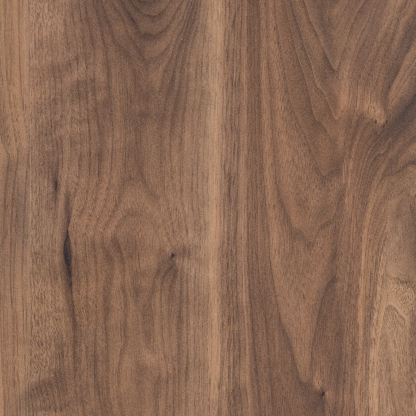 Resopal HPL 4447-EM - 0,8mm