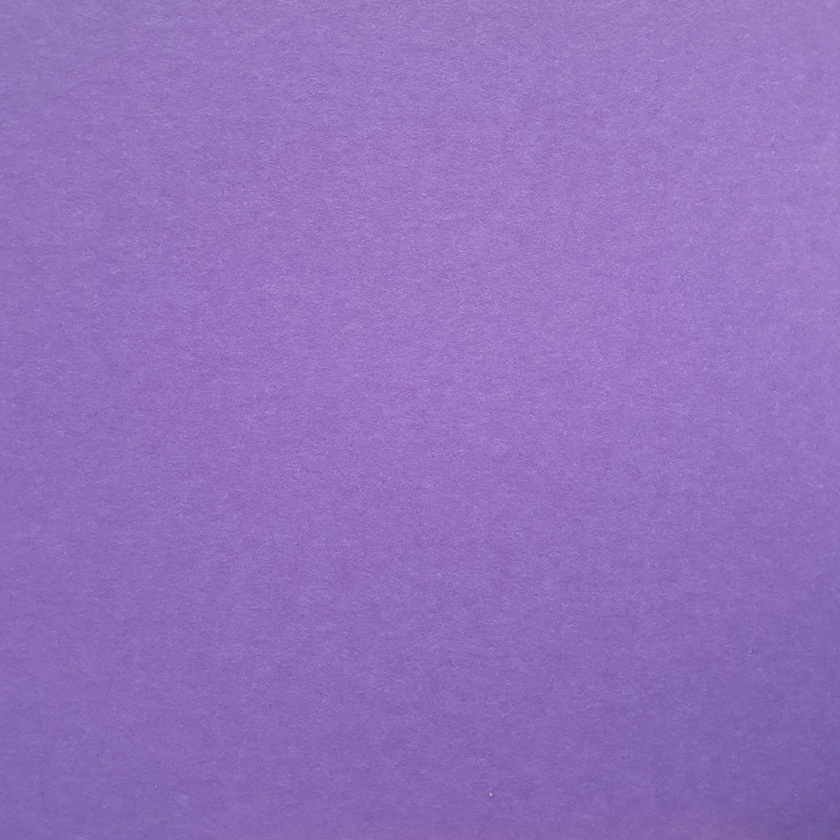 Pet Vilt Violet Purple - 9mm