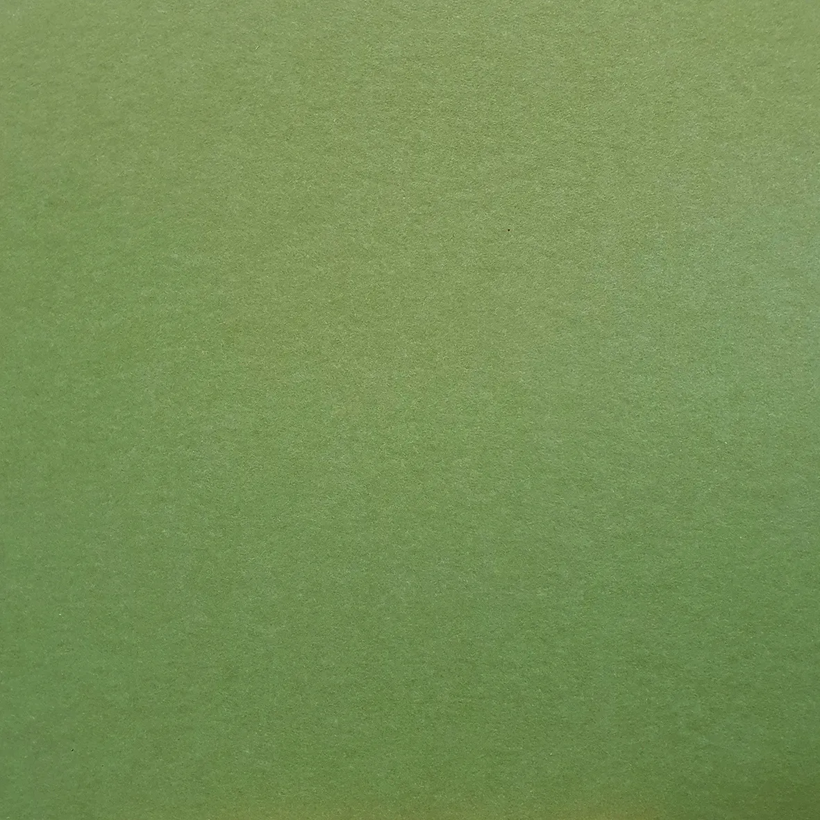 Pet Vilt Olive Green - 9mm